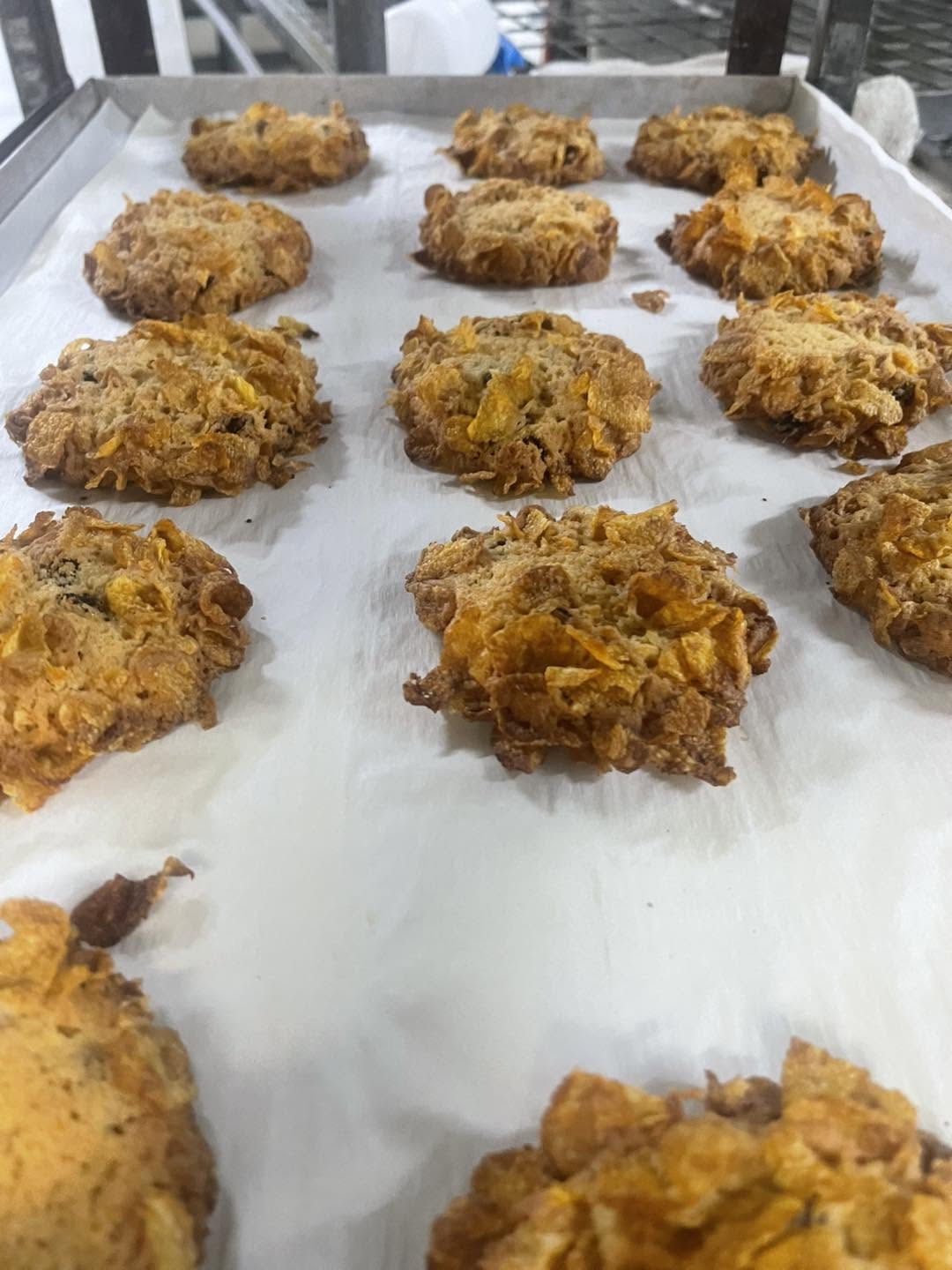 Baking trays of golden cornflake biscuits on baking paper